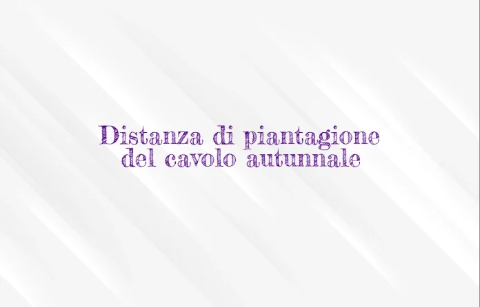 Distanza di impianto del cavolo autunnale