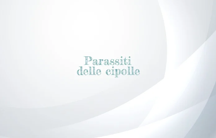 Parassiti delle cipolle