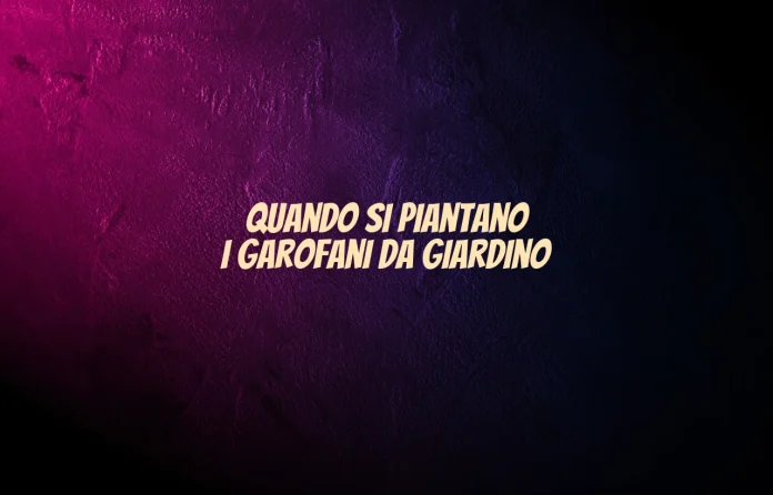 Quando si piantano i garofani da giardino