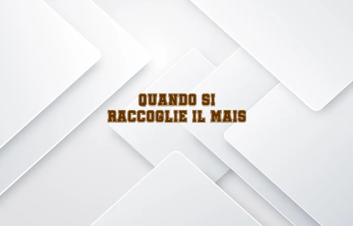 Quando si raccoglie il mais