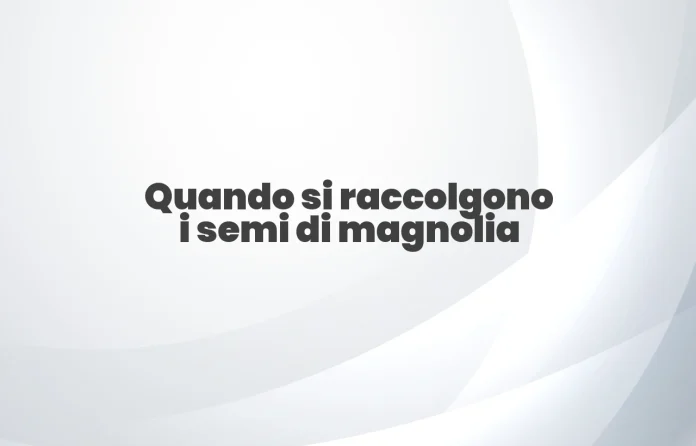 Quando si raccolgono i semi di magnolia
