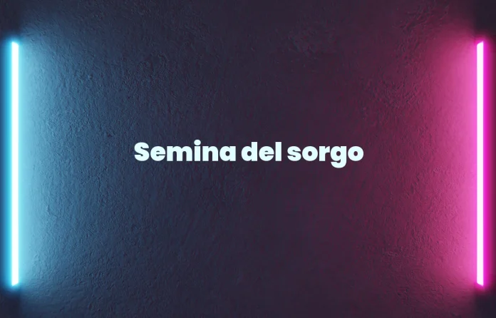Semina del sorgo
