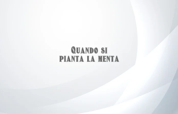 Quando si pianta la menta