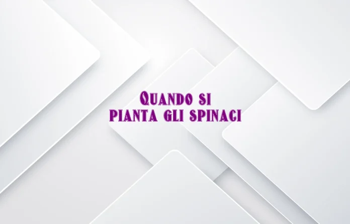 Quando si pianta gli spinaci
