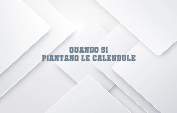 Quando si piantano i tagetes (crÄƒiÈ›ele)