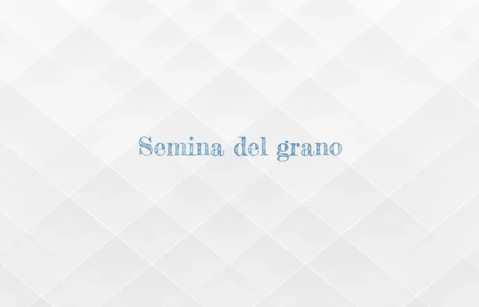 Semina del grano