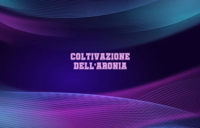 Coltivazione dellâ€™aronia