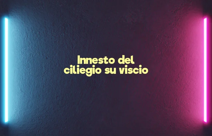 Innesto del ciliegio su visciolo