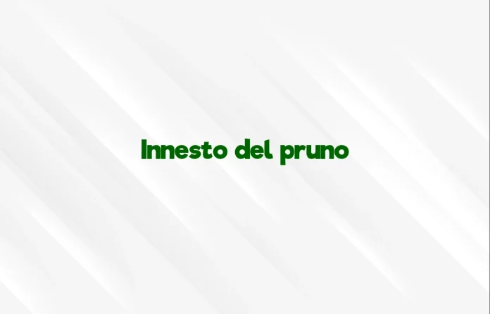 Innesto del pruno