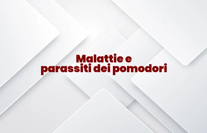Malattie e parassiti del pomodoro