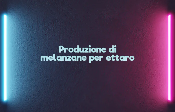 Produzione di melanzane per ettaro