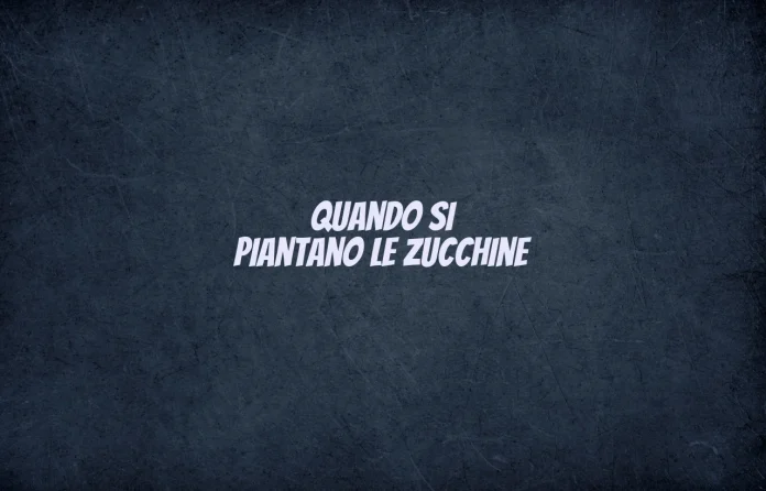Quando si piantano le zucchine