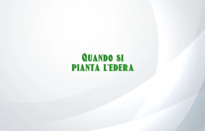Quando si pianta lâ€™edera