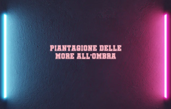 Piantagione della mora allâ€™ombra