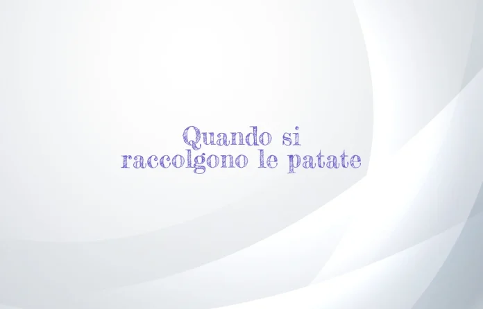 Quando si raccolgono le patate