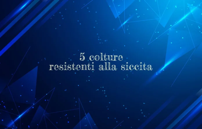 Colture resistenti alla siccitÃ 