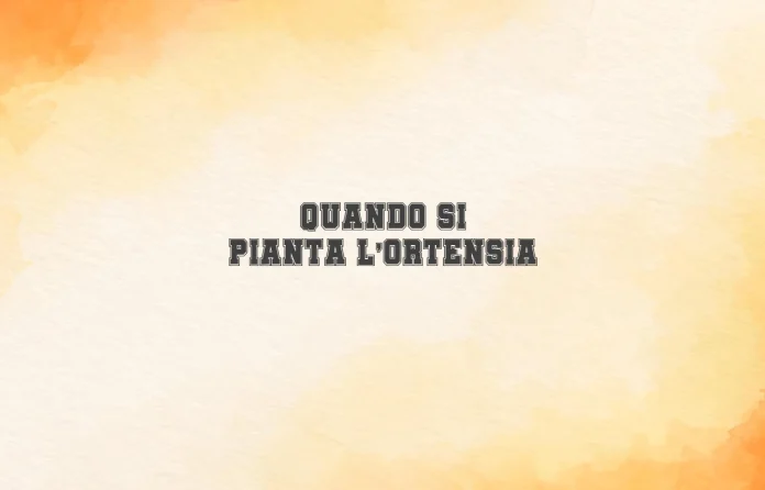 Quando si pianta lâ€™ortensia