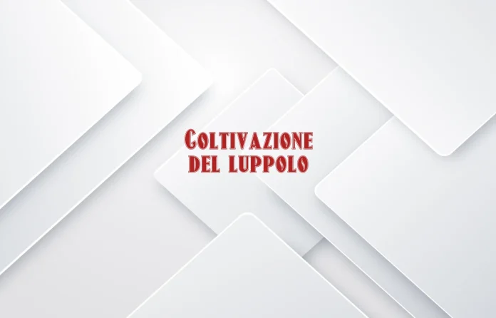 Coltivazione del luppolo