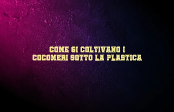 Coltivazione dei cocomeri sotto telo