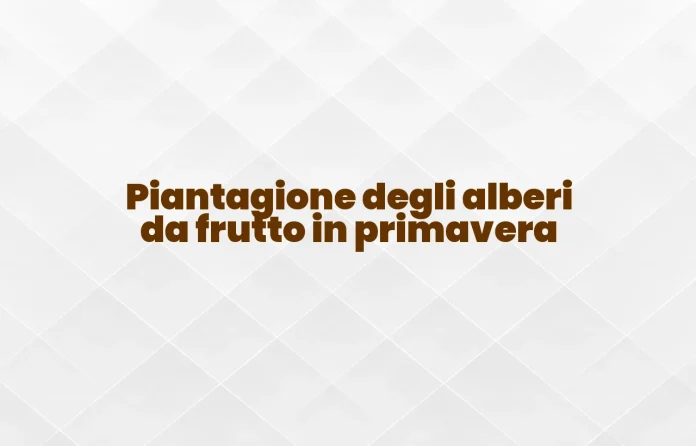 Piantagione degli alberi da frutto in primavera