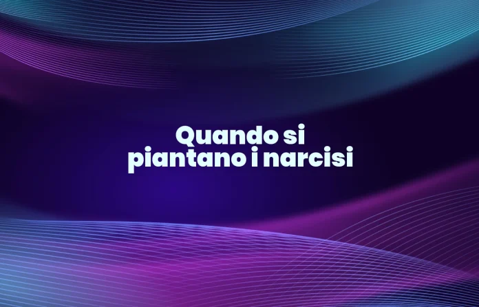 Quando si piantano i narcisi