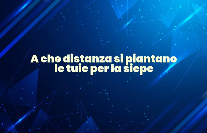 A quale distanza si piantano i tuia per siepe