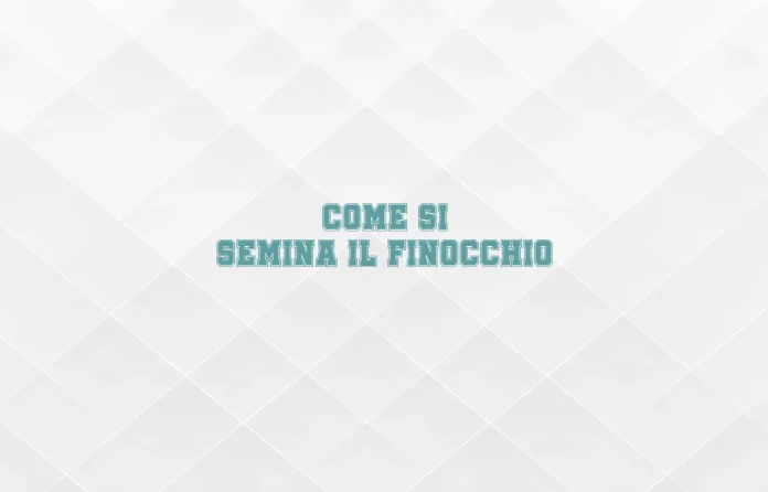 Come si semina lâ€™aneto