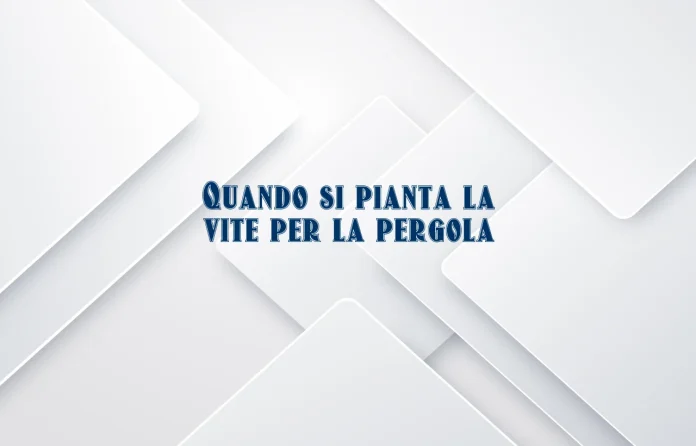 Quando si pianta la vite per pergolato