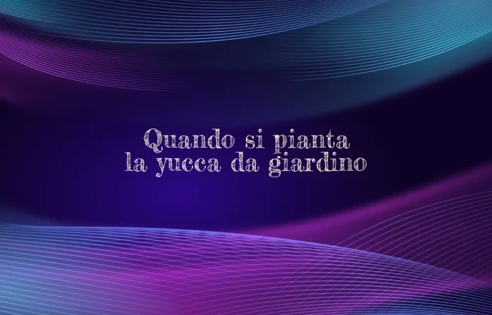 Quando si pianta la yucca da giardino