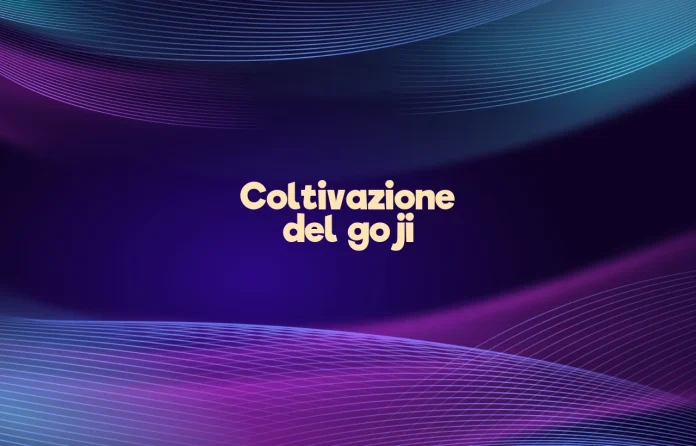 Coltivazione delle bacche di goji