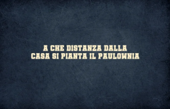 A che distanza dalla casa si pianta il Paulownia