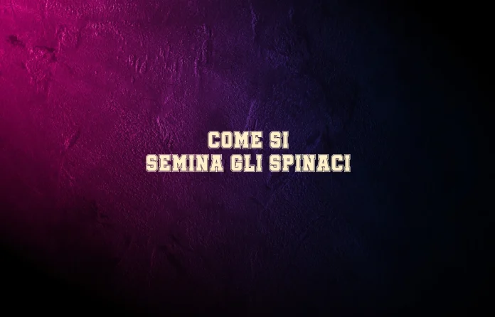 Come si semina gli spinaci