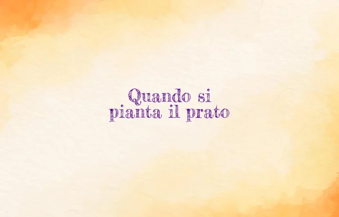 Quando si pianta il prato