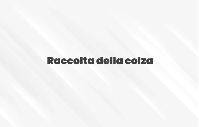 Raccolta della colza