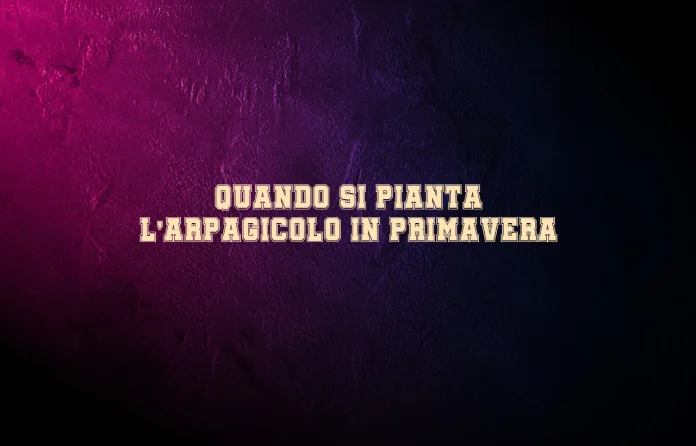 Quando si pianta lâ€™aglio primaverile