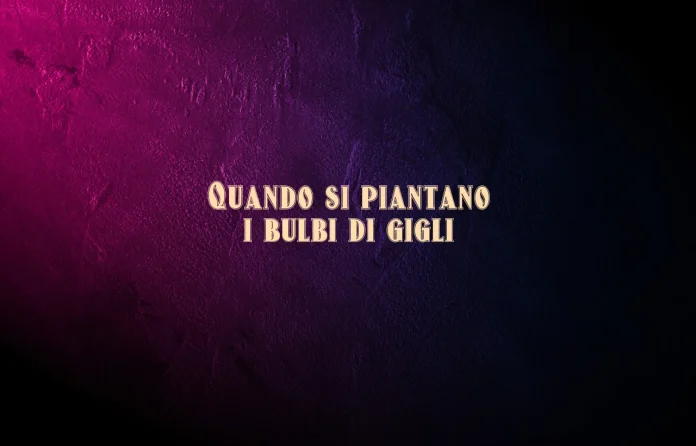Quando si piantano i bulbi di gigli