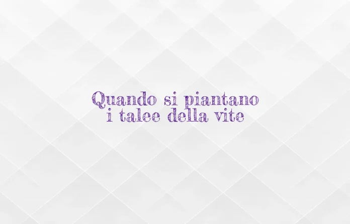 Quando si piantano i talee di vite