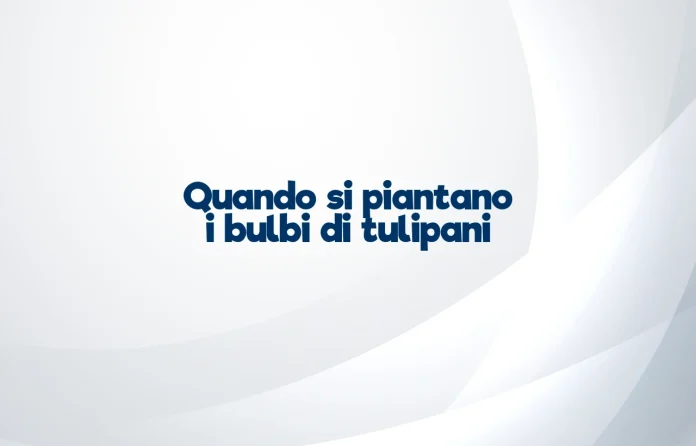 Quando si piantano i bulbi di tulipano