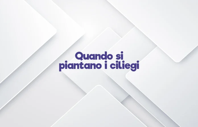 Quando si piantano i ciliegi