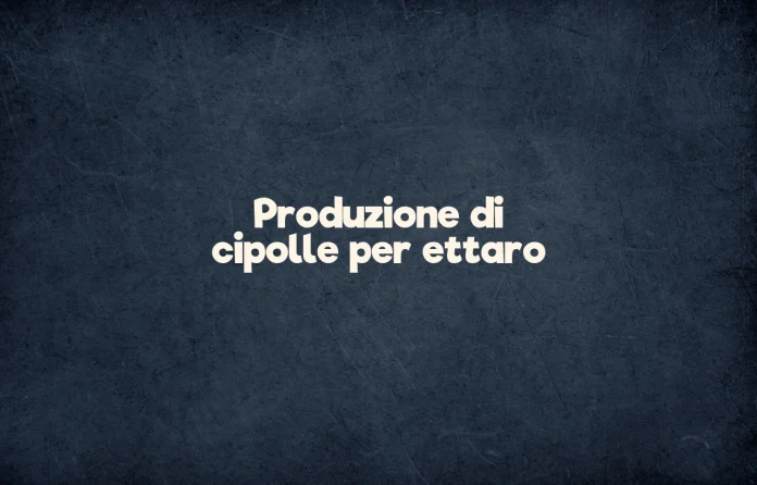 Produzione di cipolle per ettaro