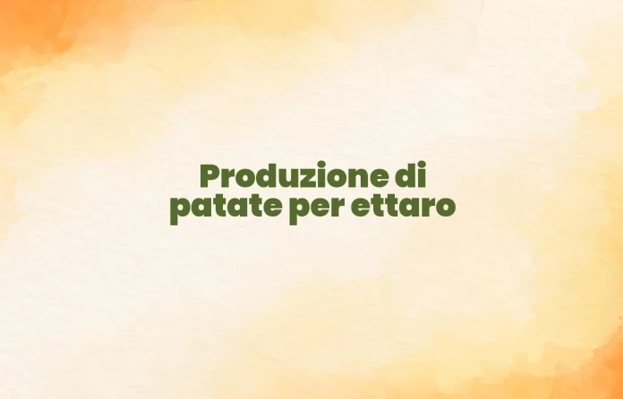 Produzione di patate per ettaro
