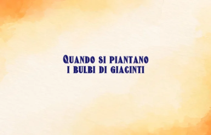 Quando si piantano i bulbi di giacinti