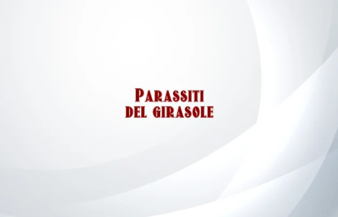 Parassiti del girasole