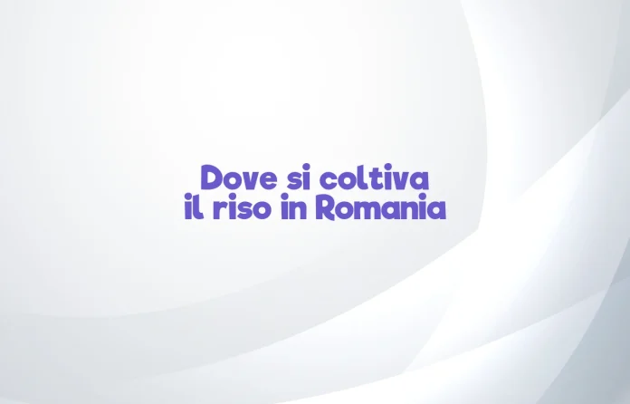 Dove si coltiva il riso in Romania