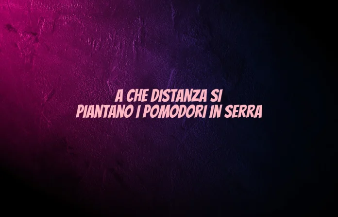 A quale distanza si piantano i pomodori in serra