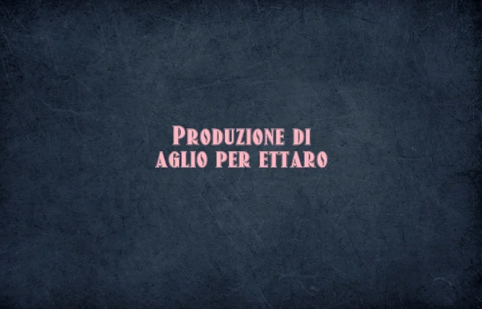 Produzione di aglio per ettaro