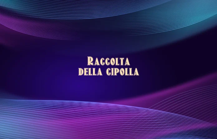 Raccolta delle cipolle