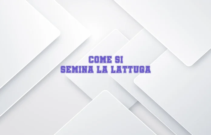 Come si semina la lattuga