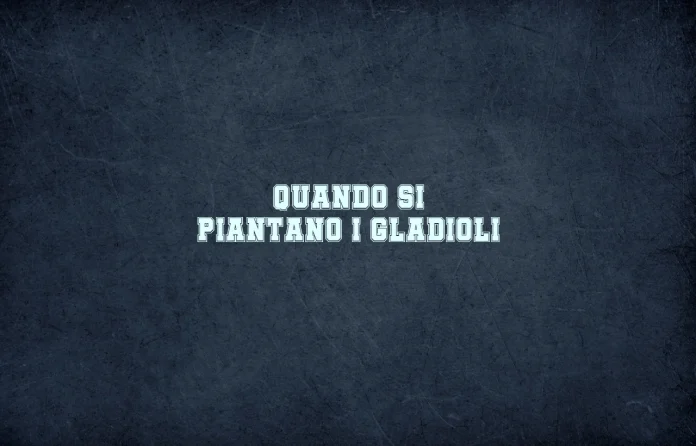 Quando si piantano i gladioli