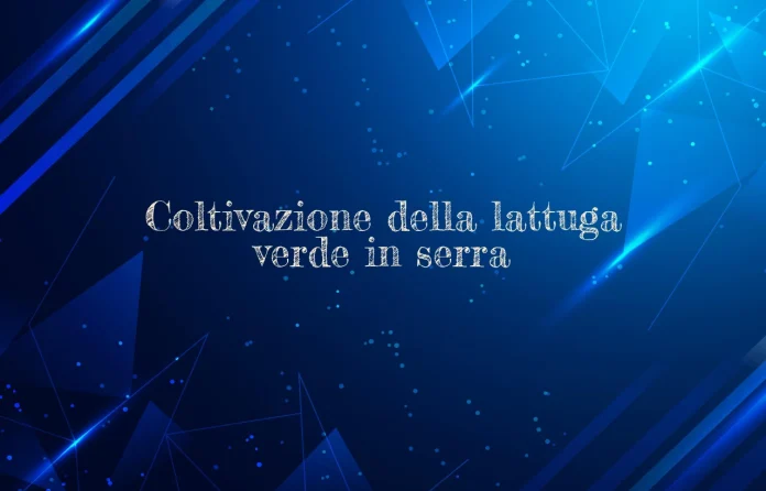 Coltivazione della lattuga verde in serra